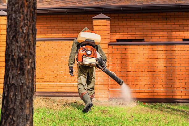 Trusted Cockroach Control service in Duncanville, TX - Nex Pest Control